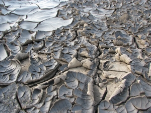 Drought stricken cracked earth.