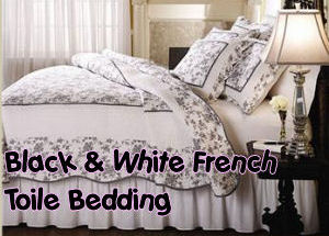 black and white french toile teen bedroom decorating ideas
