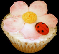 Baby Photography Ideas on Baby Shower Cupcakes Decorating Ideas