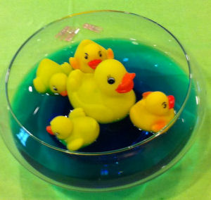 Baby Photos on Unique Baby Shower And Party Decorating Ideas  Rubber Duck Baby Shower