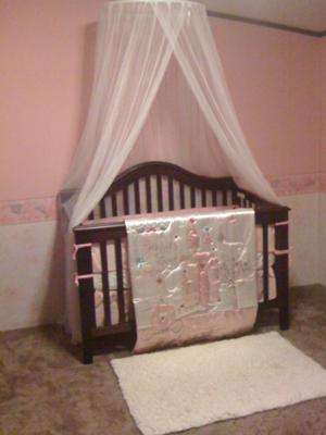 The white canopy over our little princess' baby crib