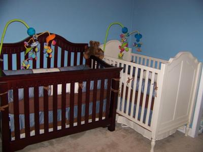 Two cribs for Twin Boys in our Where the Wild Things are Baby Nursery Theme 