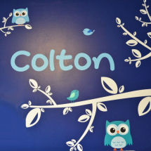 Owl theme baby boy nursery decorated in navy blue and white