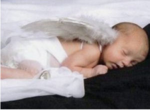 Baby angel newborn portrait with angel wings photo props
