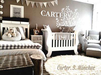 Baby Carter's Nature Themed Nursery Design