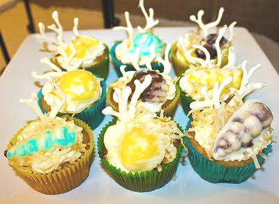 Beach theme baby shower cupcakes decorated with coral and seashells