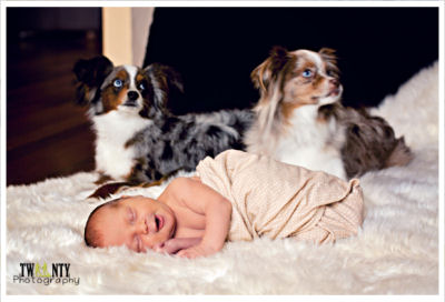 Baby Bear shares his photo shoot with the family's puppy dogs