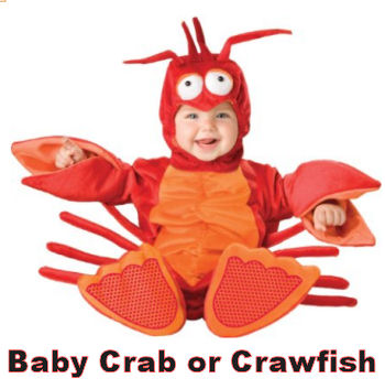 Infant baby crab crawfish or lobster Halloween costume