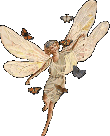 fairy pictures butterfly fairies 
