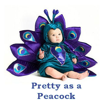 Fancy baby peacock Halloween costume for newborn to toddler size