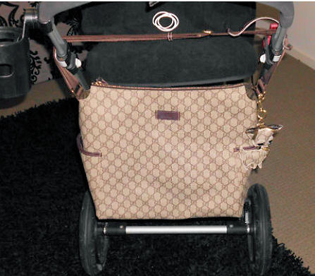 gucci strollers