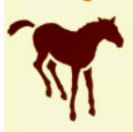 Western horse cowboy baby nursery wall stencil pattern template