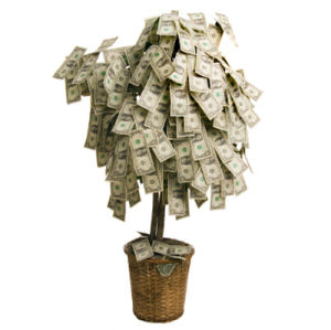 money tree shower baby bridal centerpiece decorations party money dollar bill tree