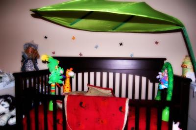 Hot Pink and Lime Green Tropical Jungle Kingdom Baby Nursery Theme Pictures