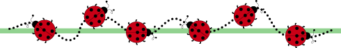 ladybug clip art images graphics ladybugs ladybug clip art images graphics ladybugs