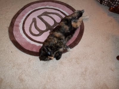 Round brown and pink princess crown nursery rug.