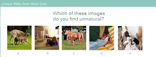 Public Breastfeeding Quiz Pictures Demonstrating that Breastfeeding is the natural choice