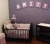 My baby girl's nursery was decorated using ideas that I Googled and combined to create a dream come true.