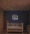 Baby Girl Nursery with Stars Overhead - Fiber Optic Ceiling Lighting