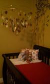 Gender Neutral Bamboo Tree Baby Nursery... for my boy