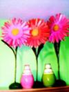 Simple hot pink daisies add so much to the room!