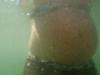 Underwater Tummy Pics