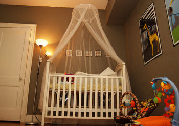 Urban Jungle Baby Nursery Theme w Dark Chocolate Brown Walls.  