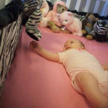 Hot pink black and white zebra baby girl nursery crib bedding
