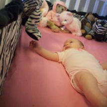 Hot pink black and white zebra baby girl nursery crib bedding