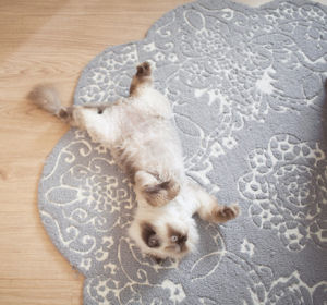 Kitty on Anthropologie nursery rug