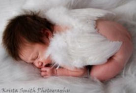 Baby angel picture with lovely wings