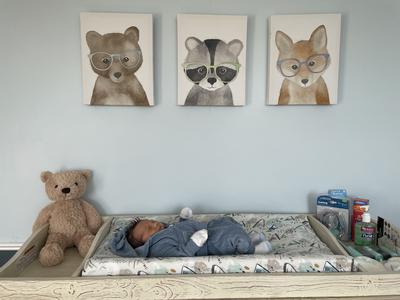 Don’t wake the Baby Bear Rustic Woodland Animal Nursery Theme Wall Decor and Decorating Ideas