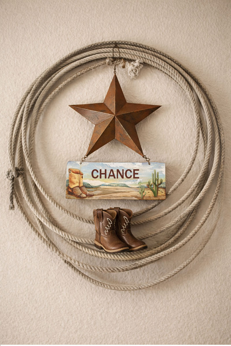 Western baby boy cowboy theme nursery decorations on shelves