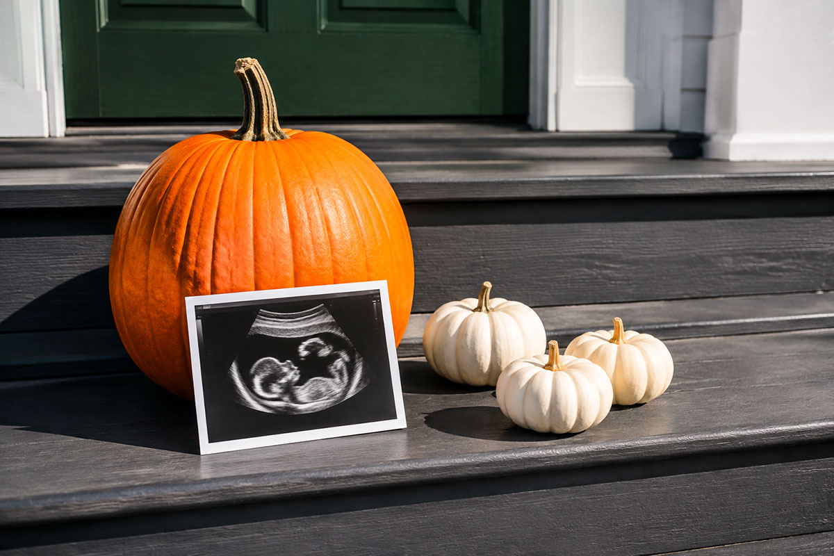 Pregnancy announcement with an ultrasound photo resting against one large orange pumpkin and several small white pumpkins