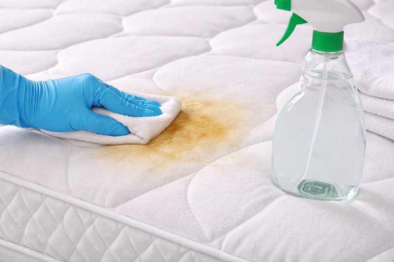 treating urine stain on mattress surface