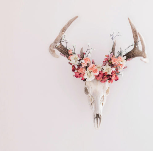 Bleached white whitetail deer skull antlers decorated with a floral wreath arrangement of pink silk flowers.  Southwest baby girl nursery decor decorating ideas.