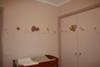 Baby's Safari Nursery with Decal Wall Decorations