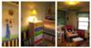 Bright Gender Neutral Colorful Bug Themed Theme Nursery Bedding Decor