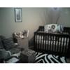 An exotic jungle Safari baby nursery theme with a black and white zebra print area rug.