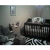 An exotic jungle Safari baby nursery theme with a black and white zebra print area rug.