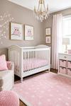 Pink and Brown Owl Baby Girl Nursery Theme and Decor
