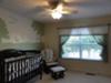Peter Rabbit Baby Nursery Theme Forest Animals Wall Mural and Painting Ideas